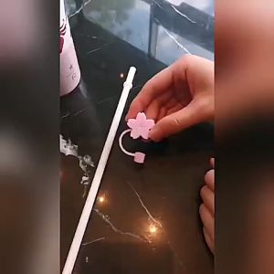 Penutup Pipet Sedotan Universal Motif Karakter Unik P1O98