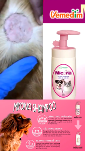 sữa tắm Micona Shampoo phòng nấm da viêm da cho chó mèo - T3 PETS SHOP