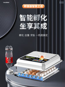 เครื่องตั้งไข่ไก่ขนาดเล็ก อัตโนมัติ สว่างฉลาด เครื่องตั้งไข่ไก่สีน้ำตาลขนาดเล็ก เครื่องตั้งไข่ไก่รุ่นพ่อแม่