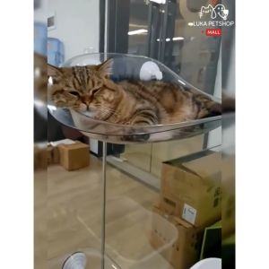 Luka 😊พร้อมส่ง💯 เปลแมวติดกระจก สีใส ที่นอนสัตว์เลี้ยง เปลแมว ที่นอนแมว