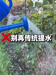LONGKE | Portable Electric Water Pump for Irrigation