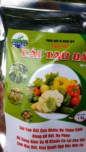 CẢI TẠO ĐẤT Tăng Độ Mùn Tơi xốp Đất Giải Độc Hữu Cơ Nâng pH - 1kg Bột Tan