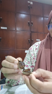 Black Garlic 100gr Bawang Putih Hitam Tunggal Lanang 100 gr Bonggol Siung Obat Jantung Penurun kolesterol