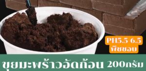 CocoPeat ขุยมะพร้าวอัดก้อน 500g สำหรับสวน ลดความเค็ม pH ประหยัดเวลา