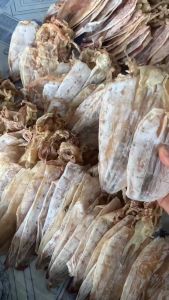 Mực khô Phú Yên loại trung sz 60-65 con/1kg sản phẩm chất lượng y hình có độ dai ngọt tự nhiên