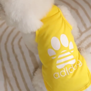 Lovinland Pet Dog Vest T-shirt Vest Pullover Clothes Cotton Small Dog French Bulldog Shih Tzu Shirt Letter Printing Cat Coat Adidog Pet Clothes