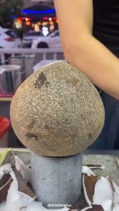 Pisau Ketela Pengupas Kulit: Alat Pengupas Makanan Praktis