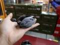 REEL BC DAIWA PR 100L PR 100HL. 