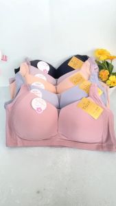 Tally 2131 BH Bra Wanita | Tanpa Kawat | Busa Tipis | Cup C Kait 3 | Size 36-42