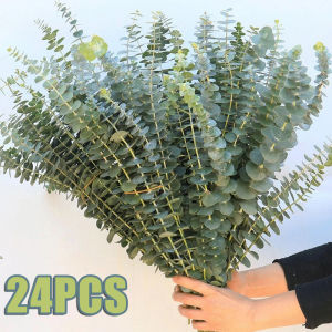 ยูคาลิปตัสพืช 12/24ชิ้น ใบกิ่ง ปลอมสำหรับตกแต่งวันวาเลนไทน์ งานแต่งงานสวน บ้านช่อดอกไม้