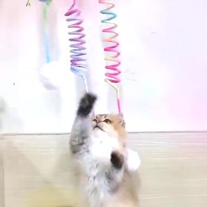 2m Cat Stick Plush Self High Suction Cup Hanging Swing Cat Toy Retractable with Rabbit Fur Ball Fun Cat Stick