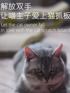 [READY STOCK] OyenPaw Cat Scratcher/Papan Pencakar Kucing