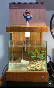 akuarium minimalis display kabinet mewah harga murah akuarium ikan hias