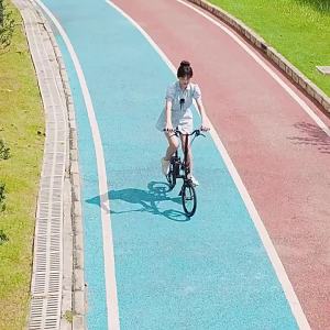 CRANSTON | Foldable Lightweight Urban Retro Camping Bicycle