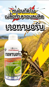 เวอทาบอร์น ขนาด 1 ลิตร คลอร์ฟีนาเพอร์ 10% หนอนกอ หนอนกระทู้ หนอนกระทู้ข้าวโพดลายจุด