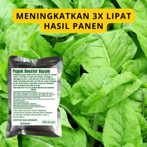 Pupuk Booster Bayam / Obat Booster Sayur Bayam / Pupuk Booster Sayur Bayam / Pupuk Sayur Bayam