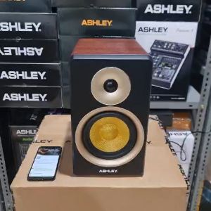 [ORIGINAL] SPEAKER AKTIF ASHLEY MS 65 MS65 ORIGINAL 65 INCH 210 WATT BISA BLUETOOTH TWS