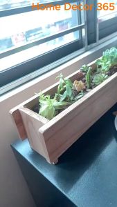 Chậu Cây Cảnh Đẹp Để Bàn Bằng Gỗ Tự Nhiên Chậu Gỗ Trồng Hoa Cây Cảnh Sen Đá