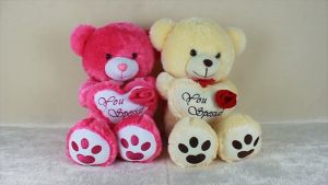 Dreamtoys96 Boneka Teddy Bear Love You Special Bunga Mawar Gemoi
