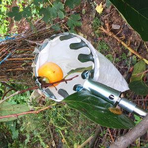 Vợt hái trái cây trên cao đa năng kèm túi vải - không có cực - SHOPER