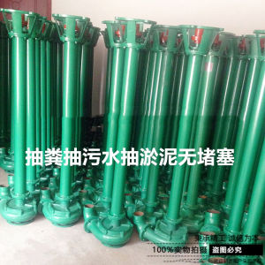 2 Inch Long Rod Sewage Pump with Choppy No Blockage in Septic Tank Industrial Cast Iron Electrically Driven Hardware Tool