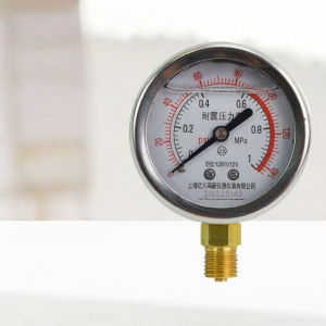 Công Tắc Áp Suất Chống Rung 0-1.6MPa