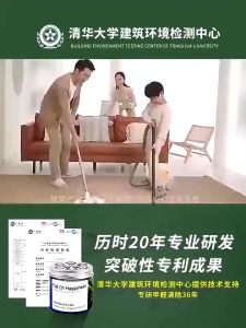 甲醛清除剂 除甲醛Formaldehyde Remover Formaldehyde Absorbent Gel Odour Remover