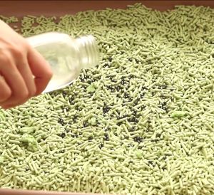 300g ของน้ำแมว ใส่ห้องน้ำแมว กลิ่น ที่ระงับกลิ่น เม็ด ลูกปัด ระงับกลิ่นเหม็น Cat Litter Deodora ดับชาร์โคล D&C House