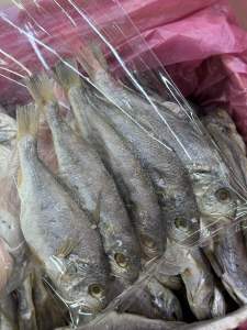 【Ready Stock】Ikan Gelama Masam Besar 250g/500g