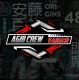 AGIB PROJECT CREW