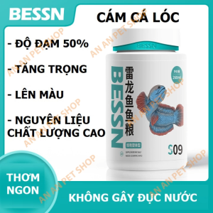 Cám Cá Lóc BESSN | Độ Đạm 50%  | Thức ăn Cá Lóc Cảnh giàu đạm Tăng trọng Lên màu Lên vây