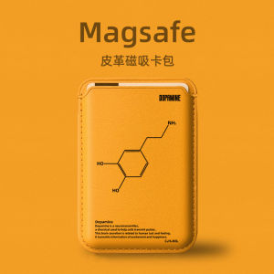Fulidun Chemical Formula Magsafe Magnetic Attraction Leather Phone Case for Apple 15Promax 2025 New iPhone 16 High-End Accessories