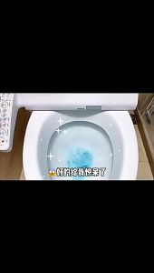 12Pcs Toilet Cleaning Effervescent Tablets Cleaning Foam Deodorizing Toilet Cleaner 12枚马桶清洁泡泡丸马桶泡腾片除臭除垢洗厕所清洁剂洗厕净洁厕灵液