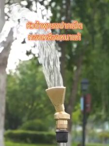 ถูกที่สุด หัวน้ำพุทรงปากเป็ด ทองเหลืองหนาแท้ 1/2นิ้ว-1.0นิ้ว-1.5นิ้ว Fountains น้ำพุทองเหลืองสปริงเกลอร์ตกแต่งบ่อสำหรับน้ำพุสถาปัตยกรรม