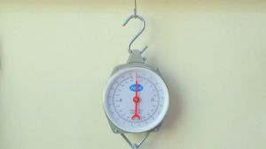 Hanging Scale Original High Quality Portable Spring hook Scale Kitchen Hanging Weighing Scale Digital 200kg Weighing Scales Portable householdspring hanging scale pig kilos