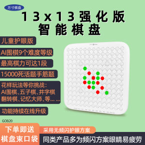 Intelligent Go Board Game for Children Educational Dual Player Toy Perfect Gift for Kids Strategy Thinking Skill Development