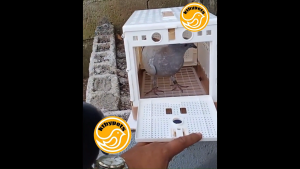 Pigeon Cage Foldable Pigeon Bird Cage Training Box Cage Plastic LARGE Pigeon Foldable Training Box