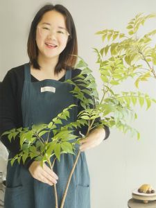 Trang Trí Hoa Giả Treo Tường Bằng Gỗ Sơn Xanh Lá Cây Giả Phong Cách Scandinavia Dùng Trong Nhà Phòng Khách