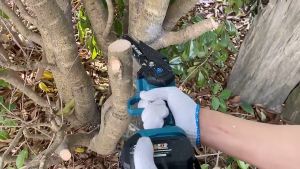 จัดส่งจากกรุงเทพฯ🚚YOFIDRA ใบเลื่อยมอเตอร์14ฟันพร้อมมอเตอร์แปรง เลื่อยไฟฟ้า4/6นิ้ว ใบเลื่อยมอเตอร์ ใบเลื่อยไฟฟ้า แบตเตอรี่ลิเธียม จอแสดงผล DC 21V ใบเลื่อยขนาดเล็กสำหรับซ่อมใบเลื่อย ใบเลื่อยขนาด4/6/8นิ้ว