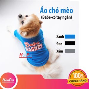 Quần áo chó mèo Babe tay ngắn
