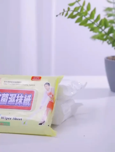 Floor & Window Wet Wipes 20pcs/Pack Antibacterial Disposable Cleaning Sheets for Dust Hair Dog Cat Fur Pet Hair Remover Multipurpose Household Cleaning Wipes for Floor Glass Kitchen Bathroom Easy Quick Clean SG Stock Fast Delivery