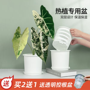 Double Layer Heat Plant Special Flower Pot Velvet Leaf Green Swan Velvet Aroid Flower Candle Root Control Pot Breathable Mountain Green