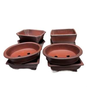 Thanh lý combo 8 chậu nâu đỏ đất trồng bonsai sen đá xương rồng cốc trồng cây chau trong cay chiếc thần kỳ full mini sứ nung  chậu  thủ công gốm loc  vung  bonsai  ongtre chậu  bonsai kẽm nhung chậu  cây cảnh để  bàn mai  vàng  khuon chaucanhdep