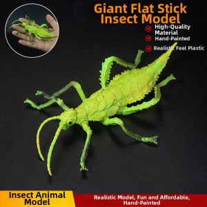 Educational Insect Model For Children