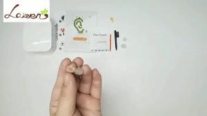 Digital Hearing Aid Invisible Hearing Aids For The Elder Seniors With A10 Battery In The Ear Sound Amplifier Audífonos Ear Aid