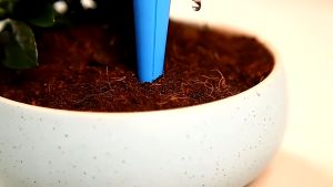 PUSAT GROSIR AS Alat Siram Pot  Alat Siram Tanaman Otomatis Type Tetes Drip Pot Tetes Tanaman Irigasi  Alat Siram Otomatis