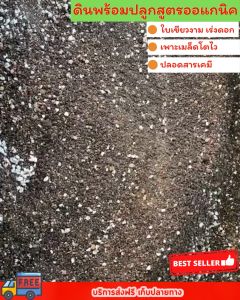 ดินปลูกสายเขียว 20 วิธีการใช้งาน คุณสมบัติของดินปลูกสายเขียว ปลอดสารเคมี และคำถามที่พบบ่อยเกี่ยวกับดินปลูกสายเขียว