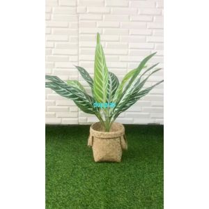 Pohon Artificial Daun Aglonema Hijau Strip X12 Semilatex Cover Pot Anyaman Purun Handle Dekorasi Apartemen