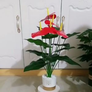 Modern [ถูกที่สุด] ต้นไม้ตกแต่งบ้าน ต้นไม้มงคล ต้นไม้ประดิษฐ์ ต้นไม้ปลอม พร้อมกระถางและหิน (ความสูง65cm)