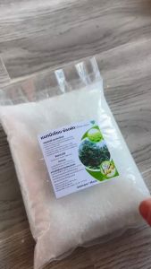 แมกนีเซียมซัลเฟต 1 กิโลกรัม ชนิดเม็ดละเอียดและหยาบ เร่งใบเขียว เข้ม ใหญ่ ดำ สร้างคลอโรฟิลล์ สังเคราะห์อาหารได้มากขึ้น /Magnesium Sulphate 500G/1KG ดีเกลือฝรั่ง